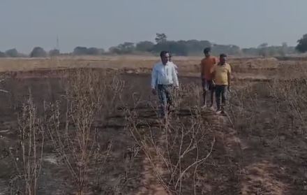 गुमला में आग का कहर: 16 एकड़ में लगी आम बागवानी और अरहर की फसल जलकर राख, किसानों को भारी नुकसान