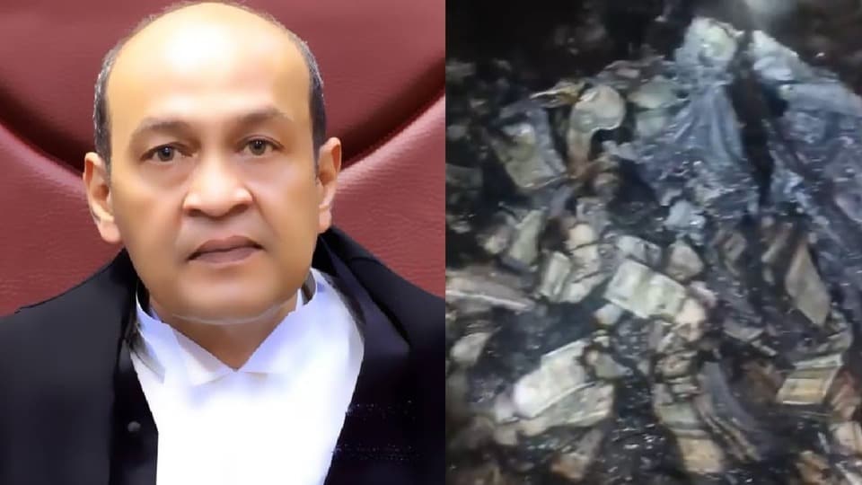 दिल्ली हाई कोर्ट के जज यशवंत वर्मा मामले में ताजा क्या है अपडेट, CJI ने क्या कहा है जानिए