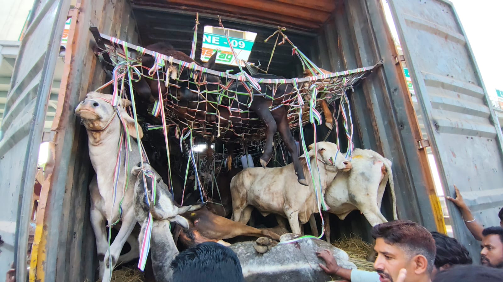 गिरिडीह में ग्रामीणों ने मवेशियों से भरा कंटेनर पकड़ा, किया पुलिस के हवाले, बंगाल भेजने की थी तैयारी 