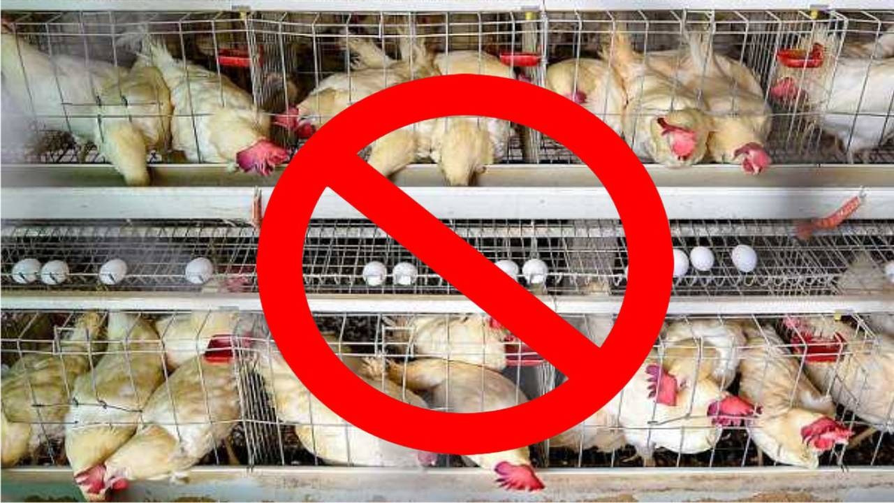 महावीर जयंती पर रांची में बंद रहेंगी मांस-मछली की दुकानें, आदेश जारी