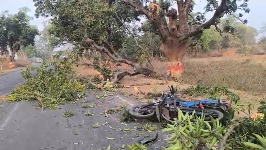 दुमका: चलती बाइक पर गिरा पेड़ की डाली, एक व्यक्ति की मौत, दो घायल