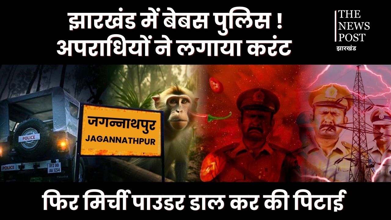 रांची में बंदर का रेस्क्यू करने गई पुलिस और वन विभाग की टीम पर हमला, पहले करंट लगाया फिर आंखों में मिर्ची पाउडर झोंक लाठी से की धुनाई