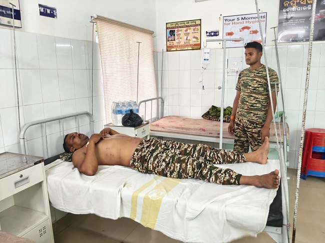 चाईबासा:मधुमक्खी के डंक से घायल सीआरपीएफ जवान, जराईकेला में आईइडी विस्फोट में बाल-बाल बचे