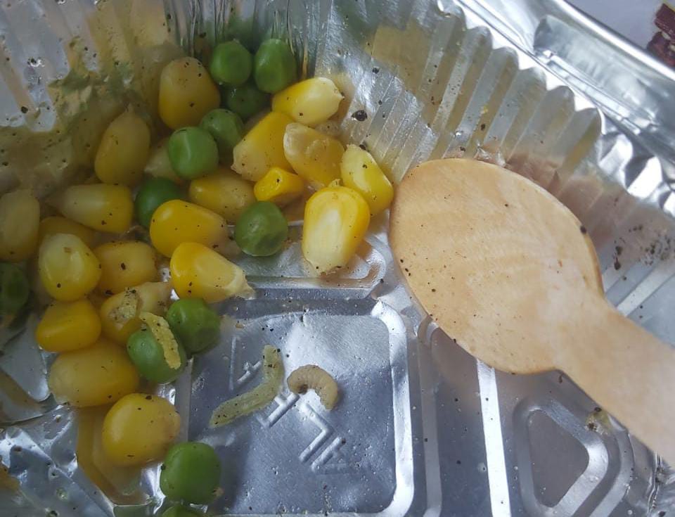 वंदे भारत एक्सप्रेस में यात्री के नाश्ते में मिला कीड़ा तो मच गया हड़कंप, रेल मंत्रालय से शिकायत