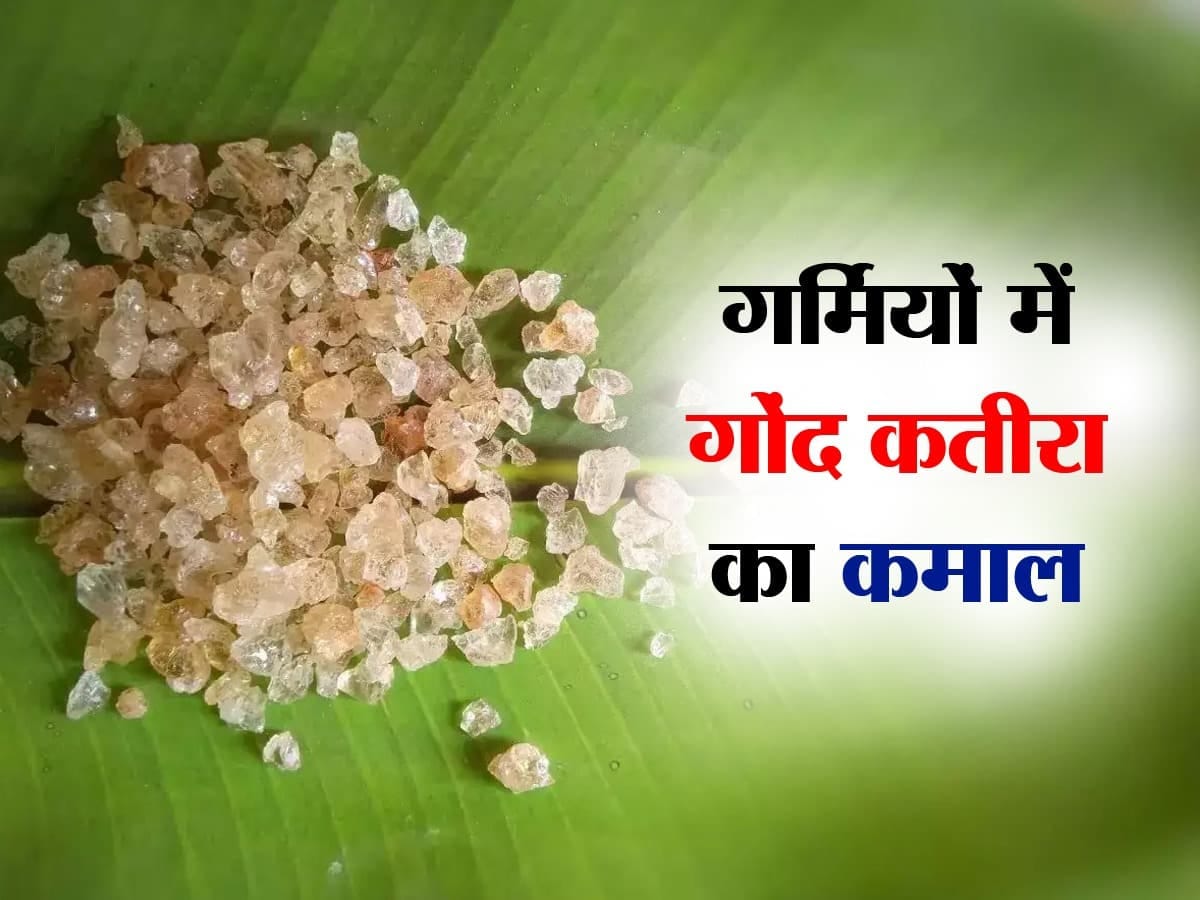 गर्मियों में कुदरत का चमत्कारी वरदान है गोंद कतीरा, ऐसे करेंगे इस्तेमाल तो शरीर को ठंडक के साथ मिलेगा ये सभी फायदा