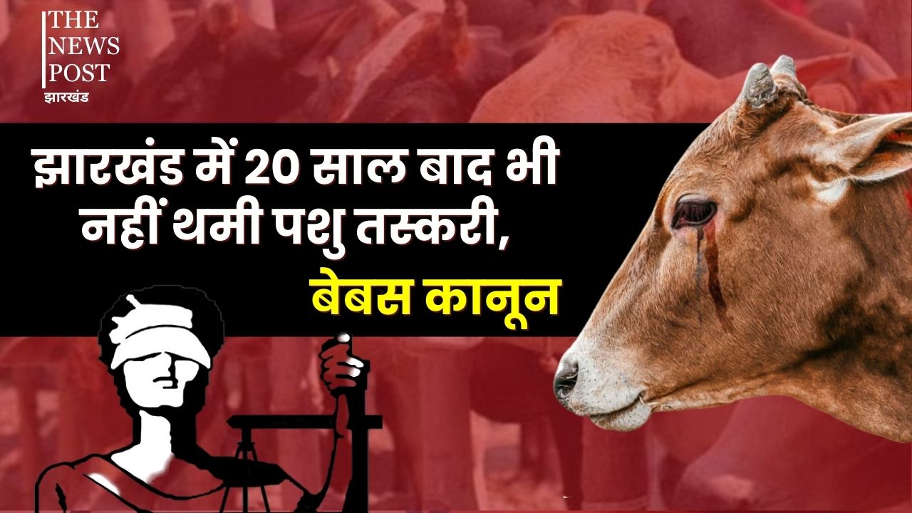 झारखंड में 20 साल बाद भी नहीं थमी पशु तस्करी, हिरणपुर बना तस्करों का सेफ ज़ोन, कानून बेबस