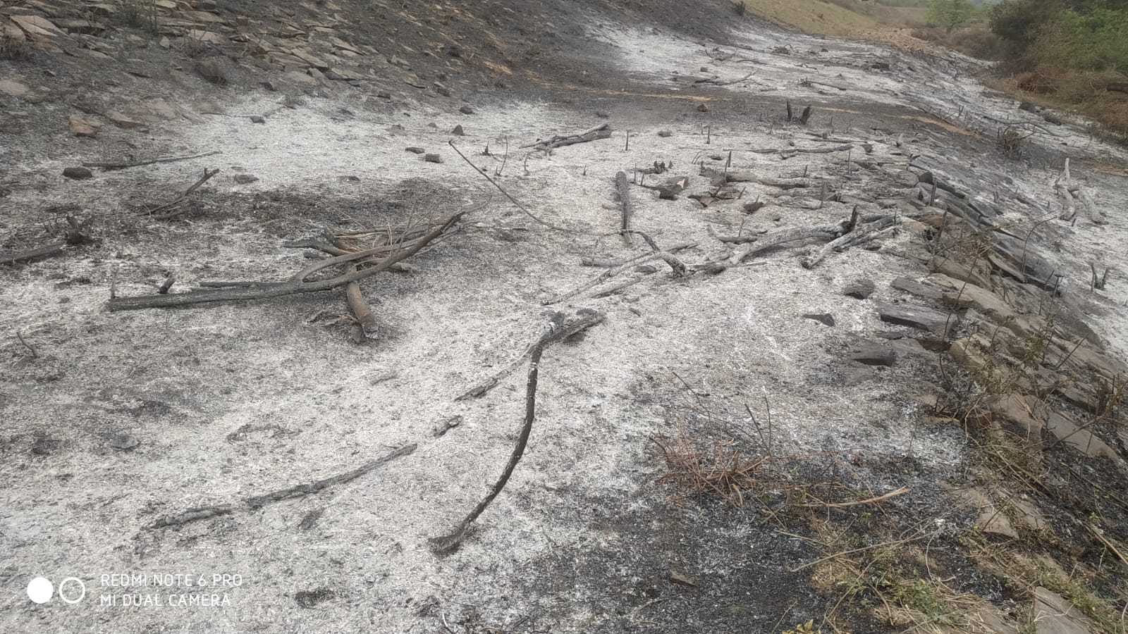 बोकारो: झाड़ियों में आग कैसे लगी,पूछे जाने पर भड़क गए अभियंता, कहने लगे आपको मेरा नम्बर कौन दिया, जानिए क्या है मामला