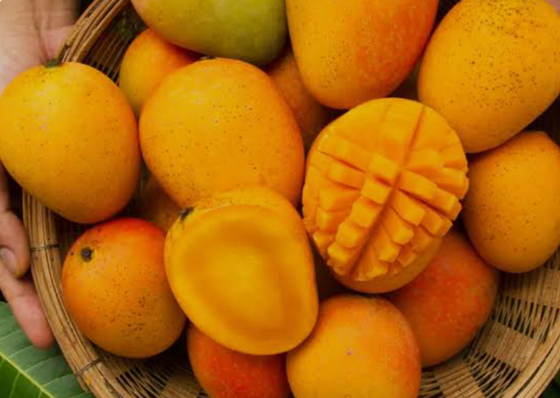 Health Tips: हेल्दी हैं आम मगर अधिक आम खाने से हो सकती हैं कई परेशानियां, इन बातों का रखें ध्यान