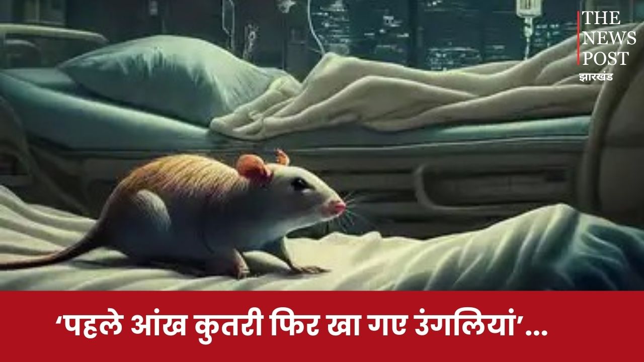 ‘पहले आंख कुतरा फिर खा गए उंगलियां’...पटना के अस्पताल में चूहों का खौफनाक आतंक