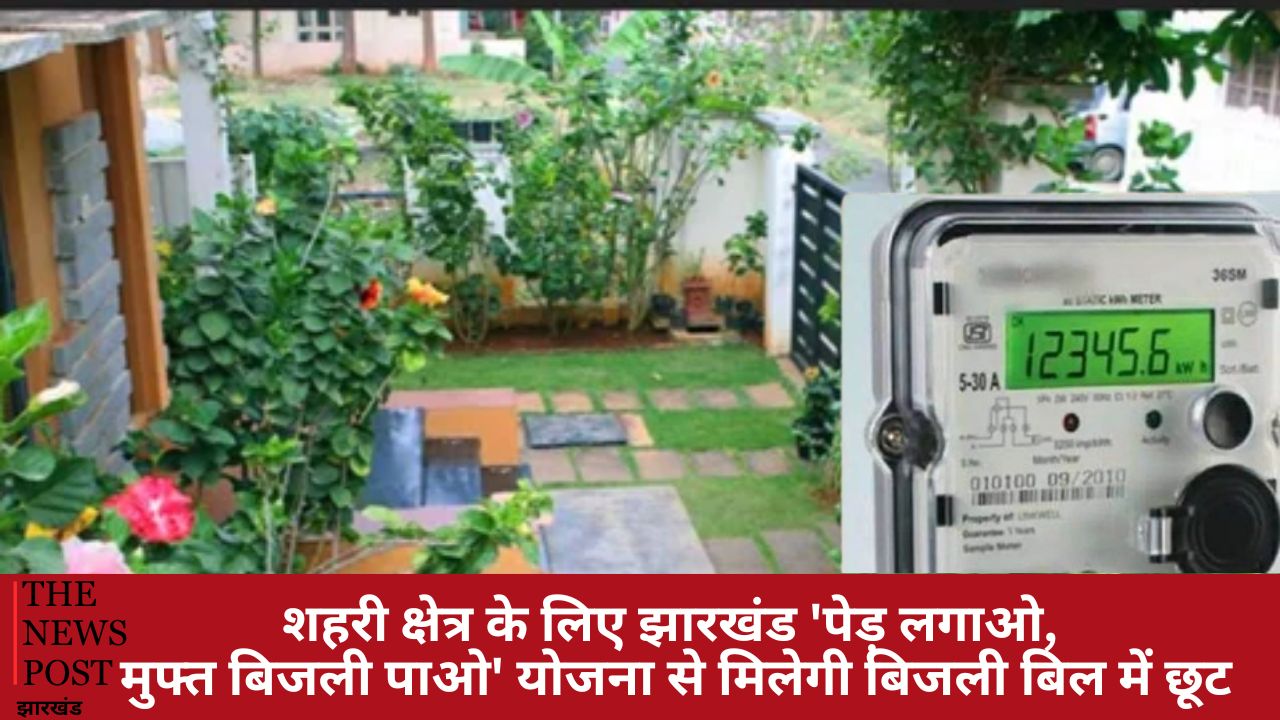 'पेड़ लगाओ, मुफ्त बिजली पाओ', झारखंड सरकार की इस योजना का कैसे ले सकते हैं लाभ, जानिए विस्तार से