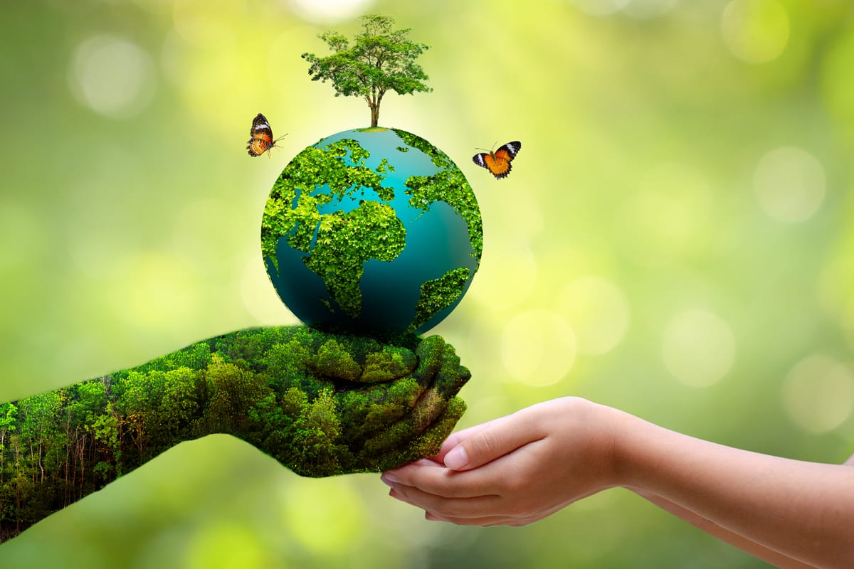 World Environment Day: अभी भी चेत जाएं झारखंड में बहुत कुछ बाकी है, फिर पछताएंगे....