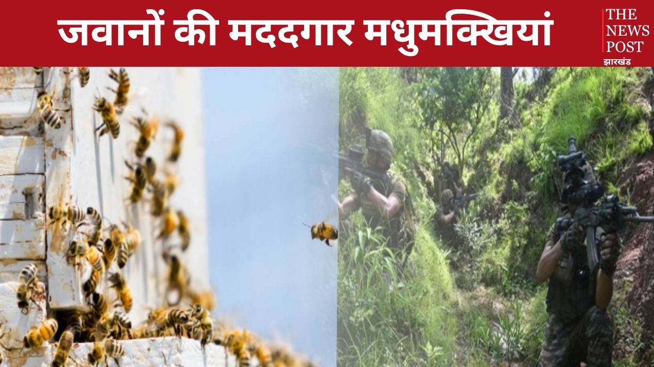 सरहद पर आखिर अवैध घुसपेठ को कैसे रोक रही हैं मधुमक्खियां ? पढ़िए कैसे भारतीय सेना के लिए बन रही मददगार