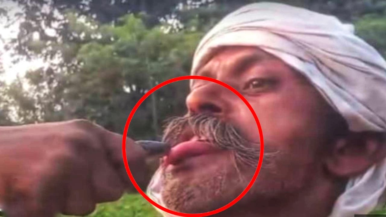 ये ‘रील’ का चक्कर जो न करवा दे ! अब एक शख्स की जीभ में सांप ने डसा तो छटपटाने लगा...