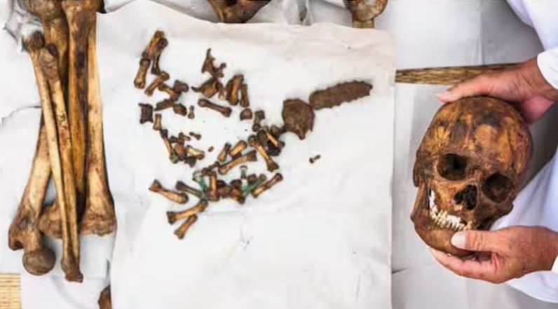 अपार्टमेंट के सीवेज में हो रही थी सफाई, अचानक जो देखने को मिला, इससे सभी की रूह कांप गई,  जानिए आखिर क्या था