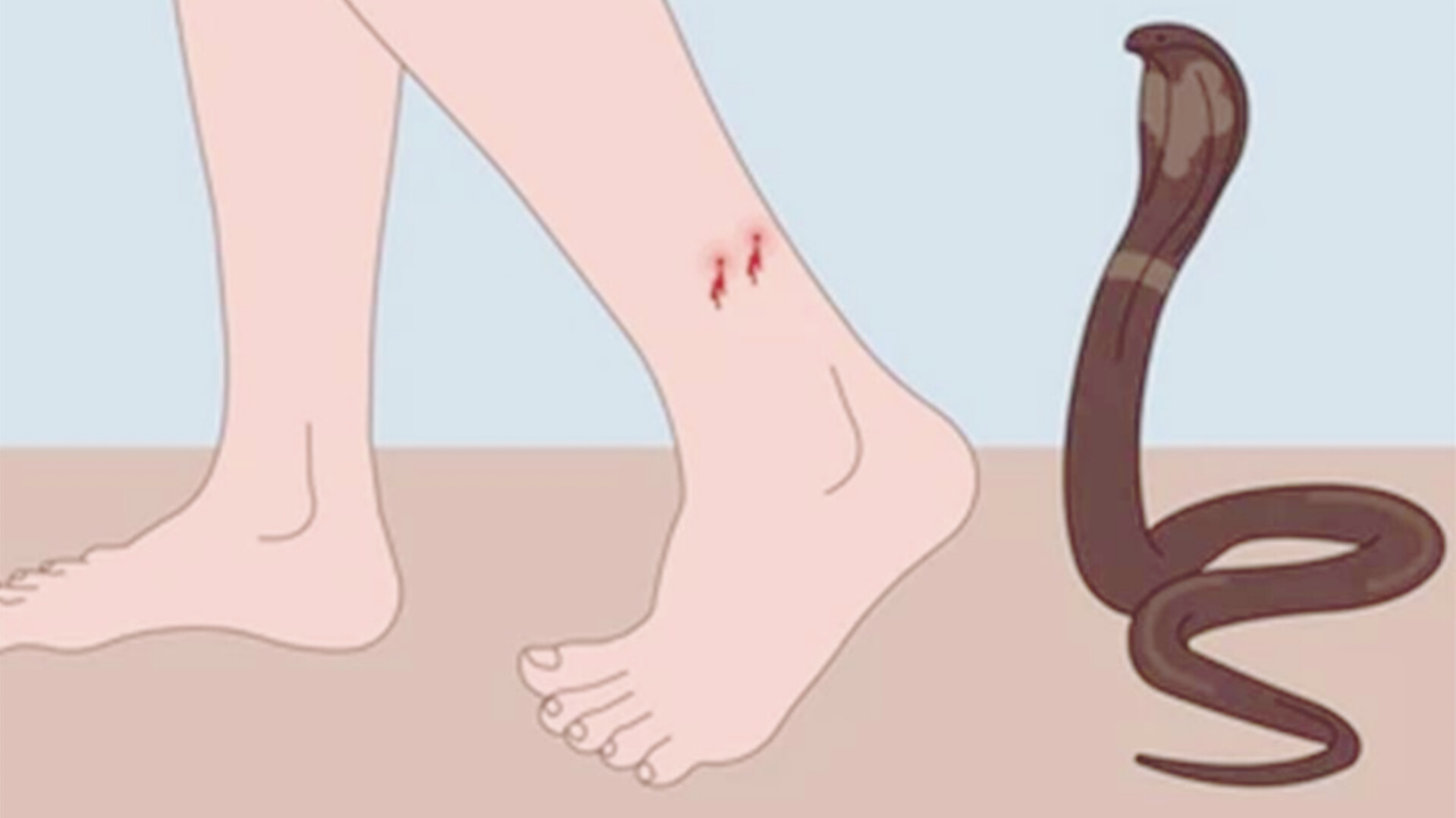 सर्पदंश से विधायक आलोक चौरसिया के दो भगिना समेत तीन की मौत, दो की हालत गंभीर