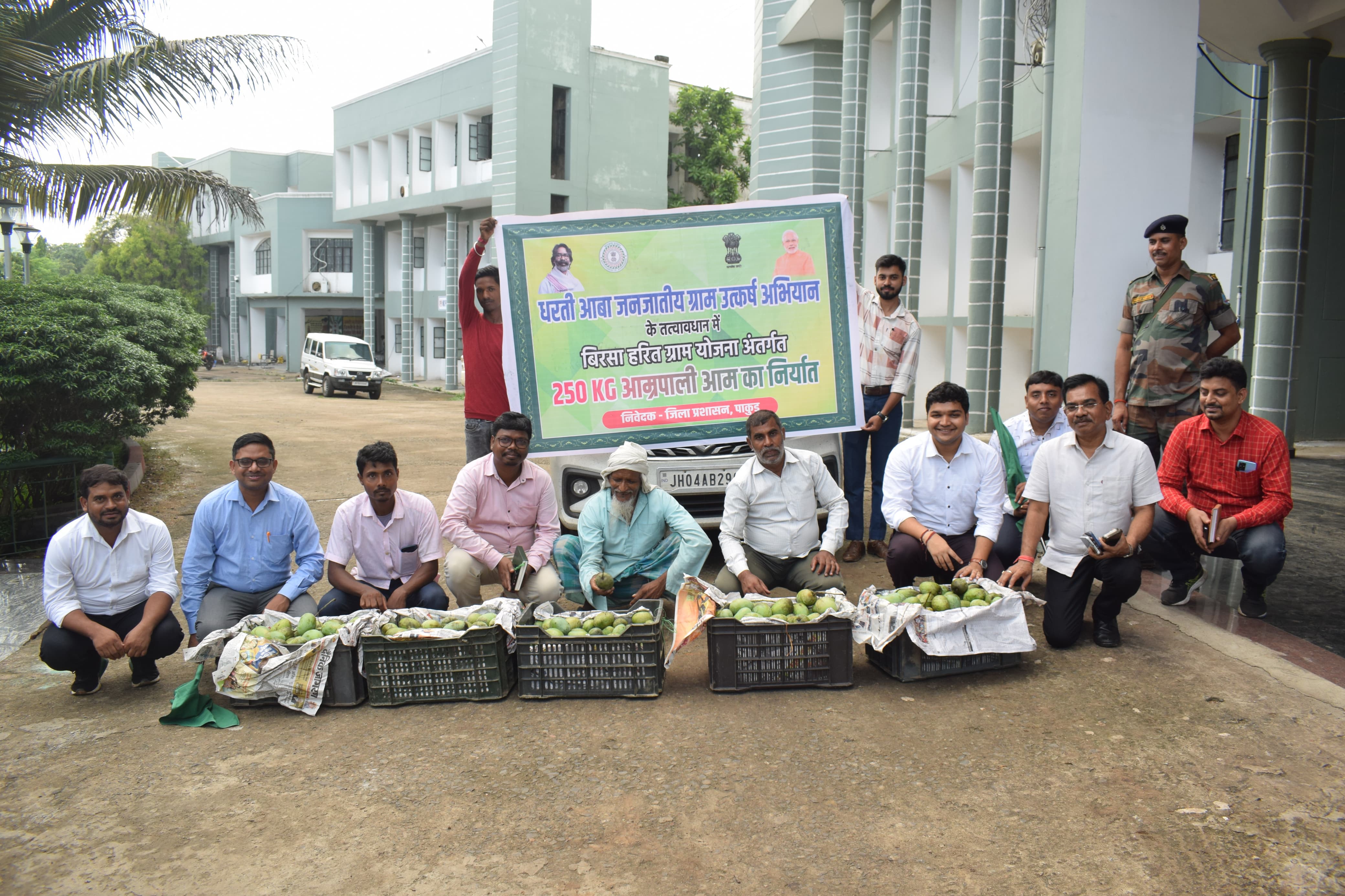 पाकुड़ के मीठे आम ने छुआ इंटरनेशनल मंच, सऊदी अरब के बाजार में घुली 'आम्रपाली' की मिठास