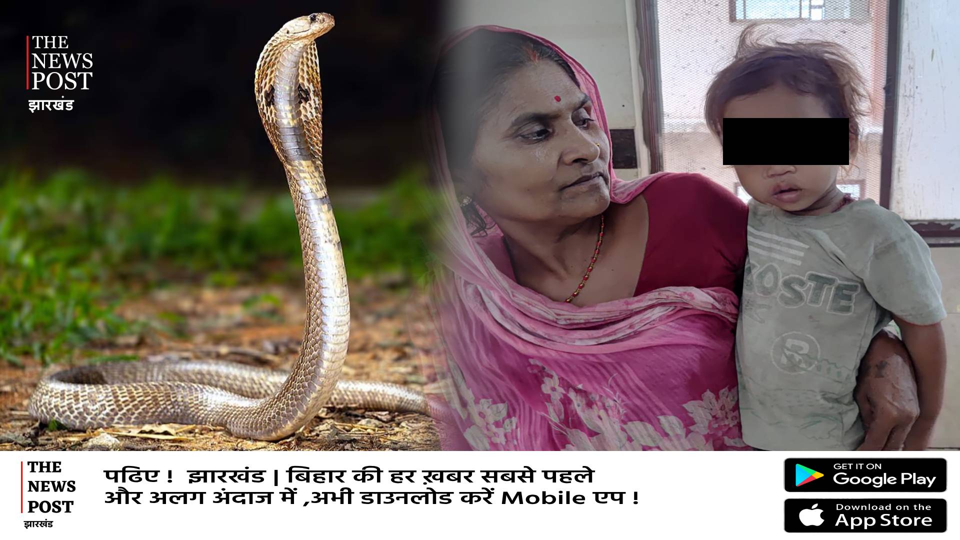 एक साल के बच्चे ने खेल-खेल में कोबरा सांप को काटा, मौके पर सांप की मौत, बच्चा खतरे से बाहर, जानिए पूरी खबर 