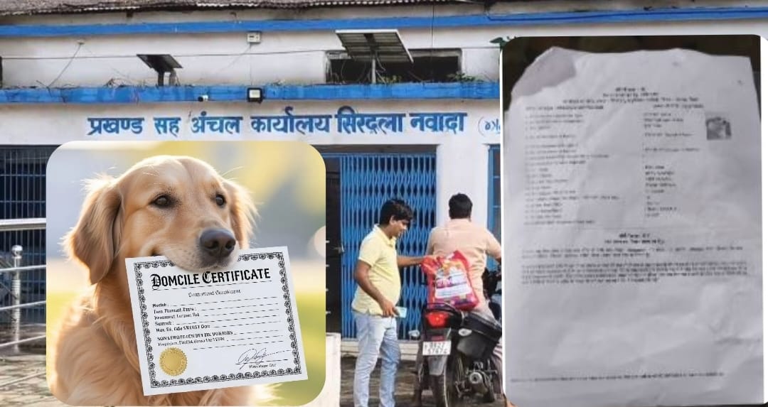 बिहार में ‘डॉग बाबू’ के बाद अब ‘डॉगेश बाबू’ का दिखा जलवा, ‘कुत्ते’ का खानदान जान बेहोश हो जायेंगे आप!