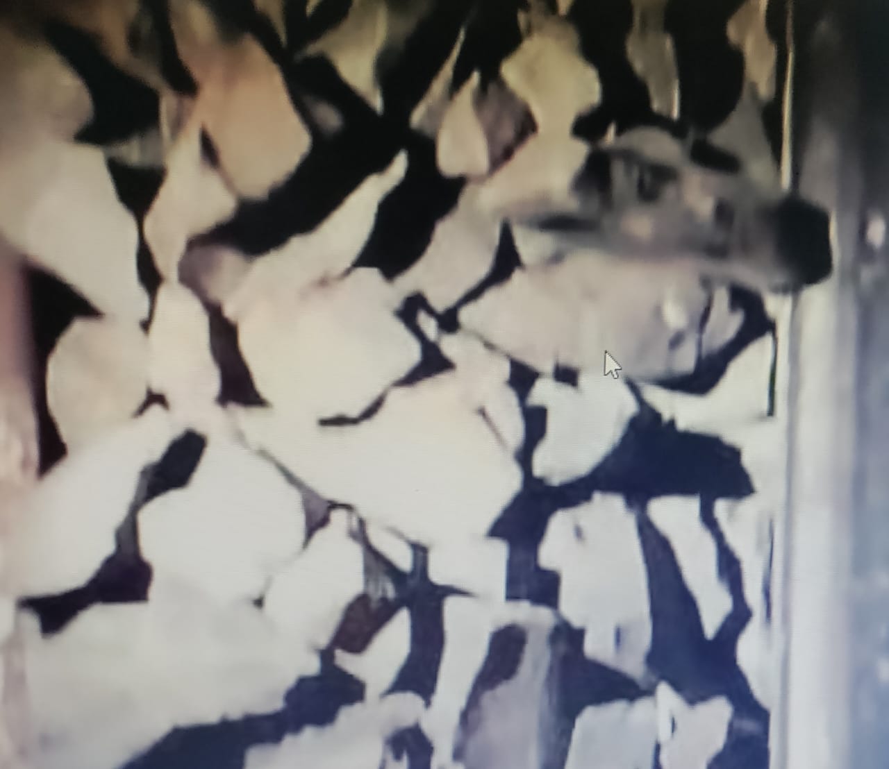 Breaking: पढ़िए-चक्रधरपुर रेल मंडल में कैसे दुर्घटनाग्रस्त होने से बची इतवारी एक्सप्रेस !