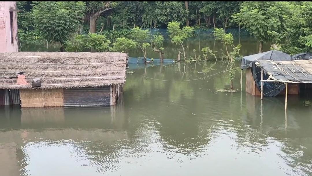 साहिबगंज जिले में बाढ़ और बारिश का कहर, कई परिवार हुए बेघर, स्कूल भी बंद, ग्रामीणों ने जिला प्रशासन से की ये मांग