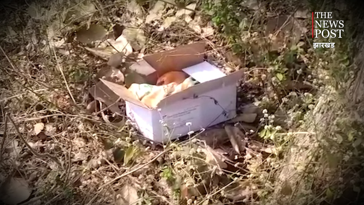 पलामू में डिब्बे से मिला नवजात शिशु का शव, इलाके में सनसनी