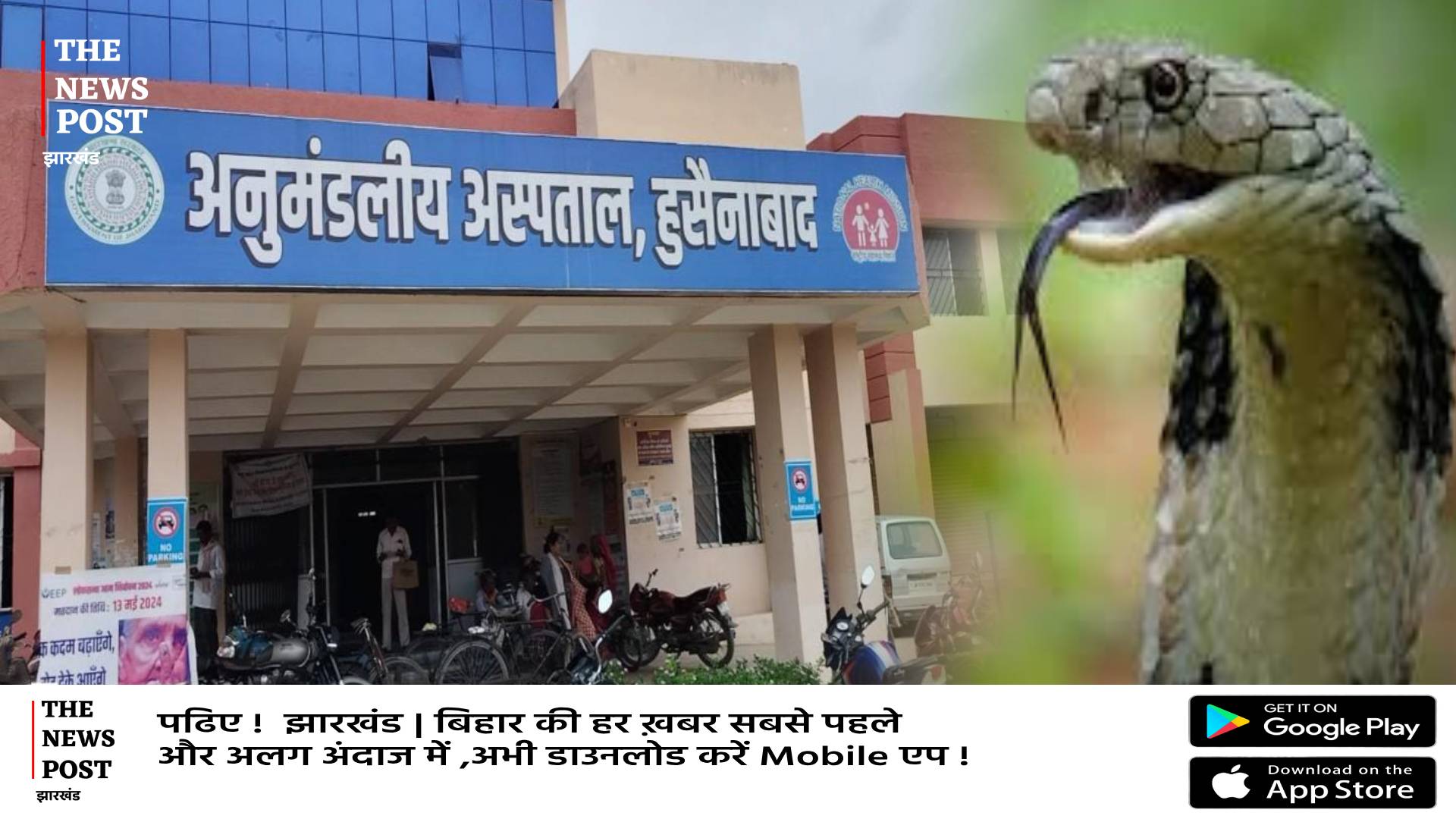 हुसैनाबाद में खटिया पर सो रहे बुजुर्ग को सांप ने डंसा तो सांप का हो गया काम तमाम, फिर जो हुआ मच गयी चीत्कार   