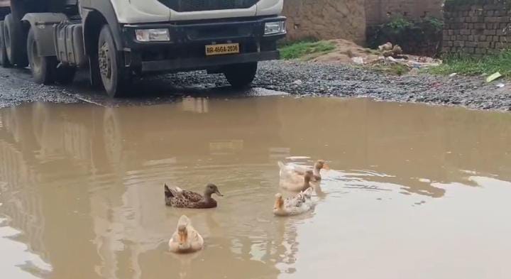 बीच सड़क बत्तख करने लगे अटखेलियां तब रुक गई रफ्तार और हुआ आवागमन बाधित, जानिए क्यों