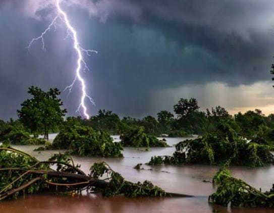 Weather Alert:आज से फिर झारखंड में रफ्तार पकड़ेगा मानसून, इन 7 जिलों में भारी से अधिक बारिश होने का अलर्ट