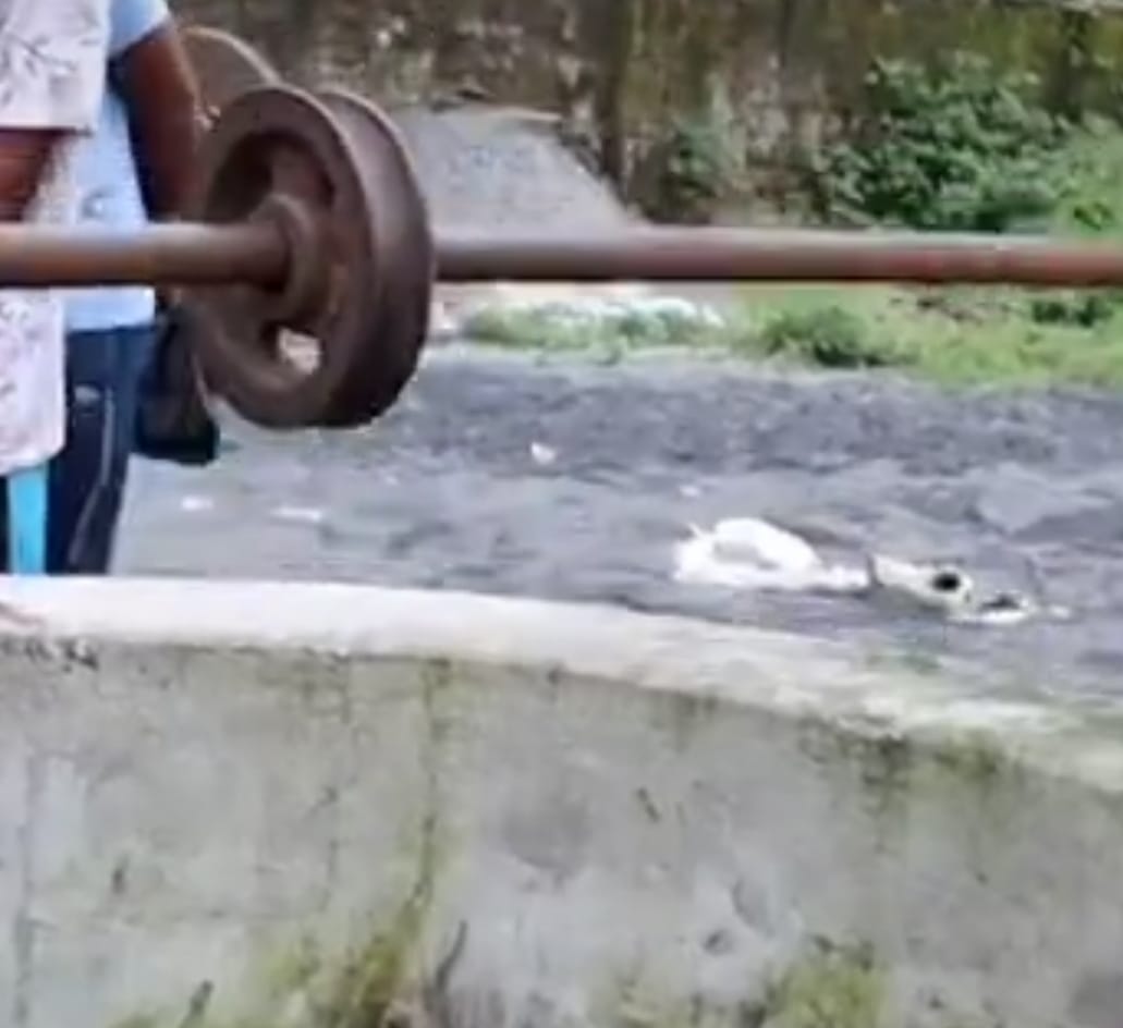 Dhanbad: कुएं से बरामद हुई यूपी के युवक की लाश, हादसा या कोई साजिश, जांचेगी पुलिस