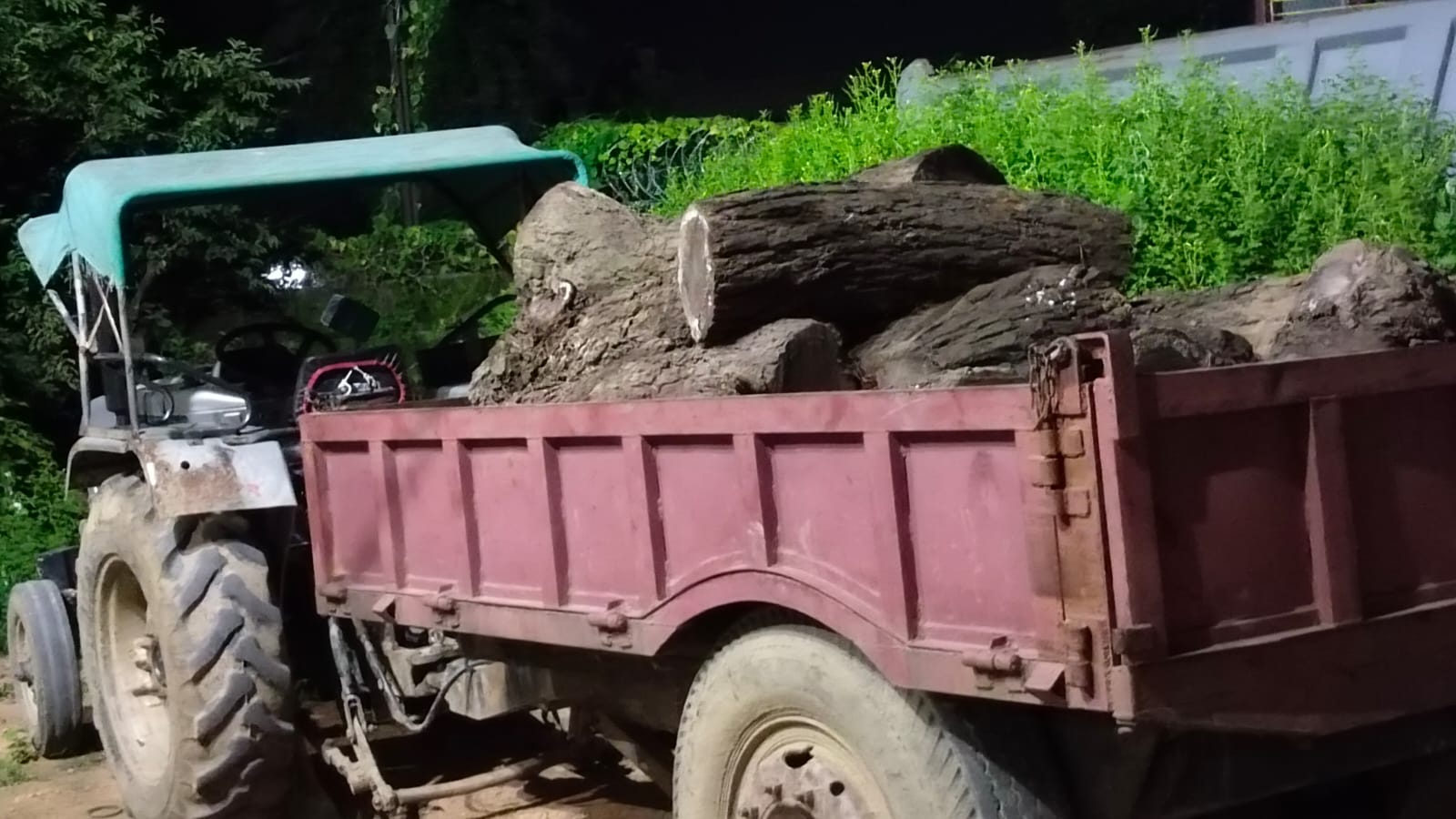 पलामू:रेहला में अवैध शीशम की लकड़ी लदा ट्रैक्टर जब्त, चालक गिरफ्तार