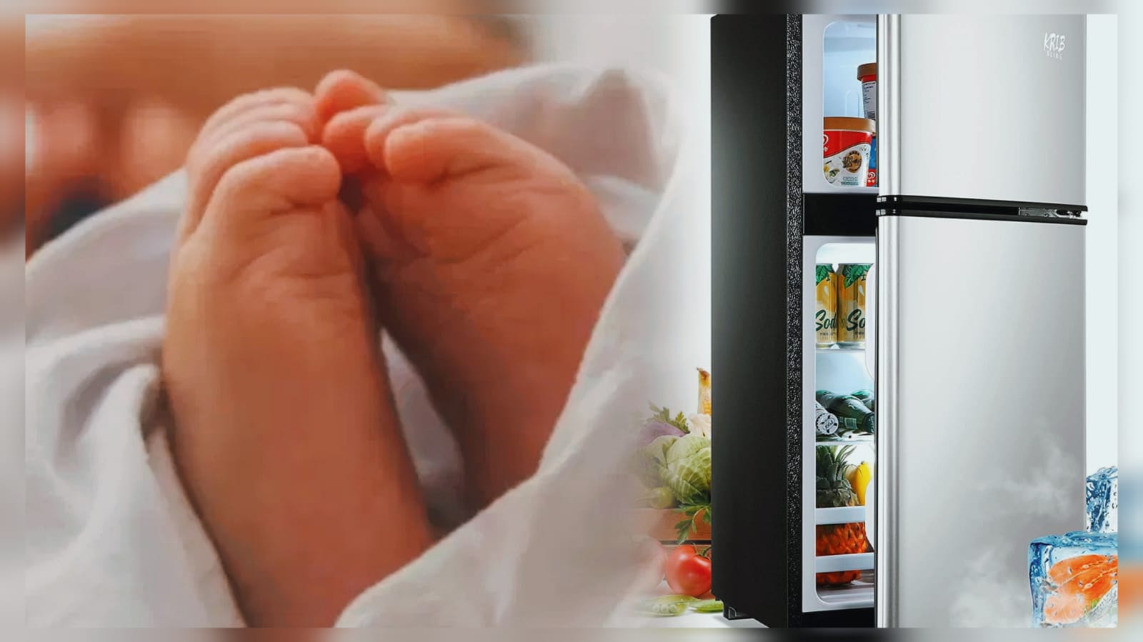 आख़िर एक मां ये कैसे कर सकती है ? क्या हुआ ऐसा कि अपने बच्चे को फ्रिज में रखने के लिए मजबूर हो गई मां, परिवार वालों ने खोले खौफनाक राज