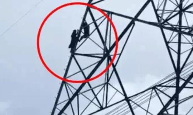 ऐसी दीवानगी देखी नहीं कहीं...प्यार में पागल नाबालिक लड़की ने बिजली टावर पर चढ़कर किया कुछ ऐसा कि थम गई प्रेमी की सांसे, देखिए-VIDEO