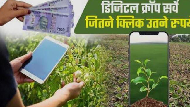 डिजिटल क्रॉप सर्वे से फसलों की हो रही है रियल टाइम मॉनिटरिंग, खरीफ फसलों का डाटा होगा डिजिटली उपलब्ध