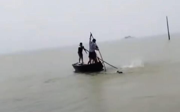 बाढ़ के पानी के बीच अचानक दिखा मगरमच्छ तो मच गयी खलबली, देखिए VIRAL VIDEO 