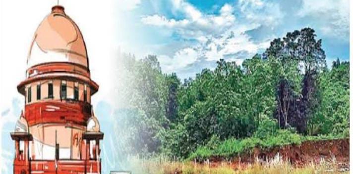 नक्सलियों का सबसे बड़ा गढ़ सारंडा बनेगा पशु पक्षियों का ठिकाना, जल्द सरकार करेगी वन्यजीव अभ्यारण्य घोषित