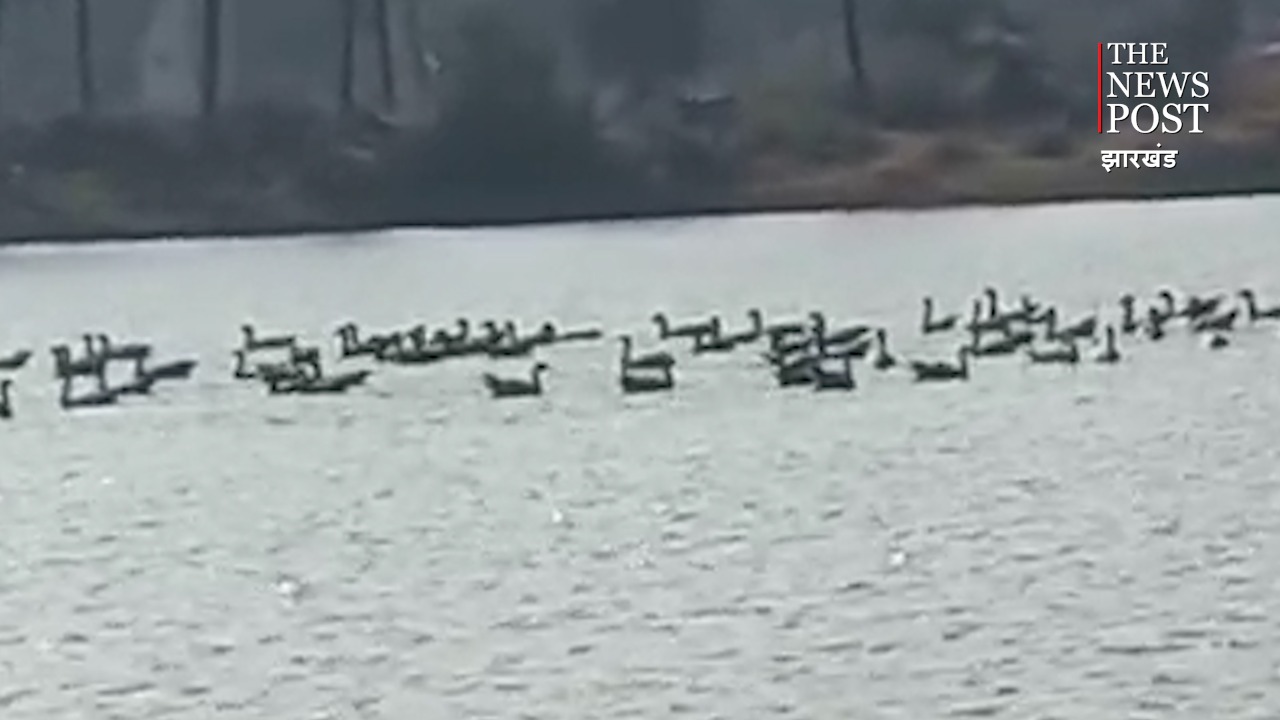 अब भगवान भरोसे नहीं अप्रवासी पंक्षी, सरकार कराएगी एक-एक की गणना