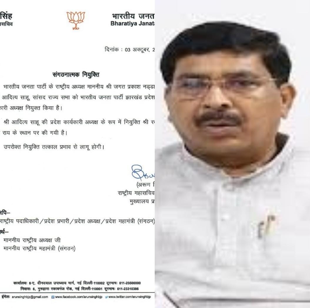 अध्यक्ष की नियुक्ति से पहले आदित्य साहू को बनाया गया कार्यकारी अध्यक्ष, जानिए क्या है मामला