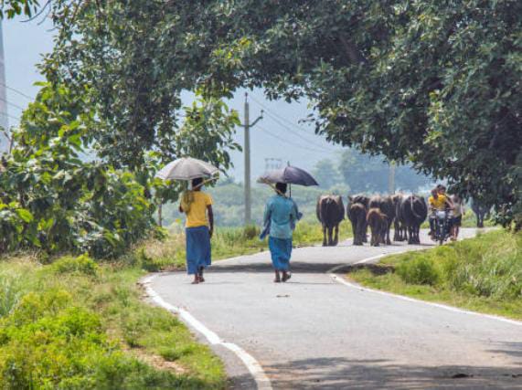 ग्रामीण सड़क के निर्माण से आगे बढ़ रहा है बिहार,स्कूलों और अस्पतालों तक आवागमन की सुविधा बहाल