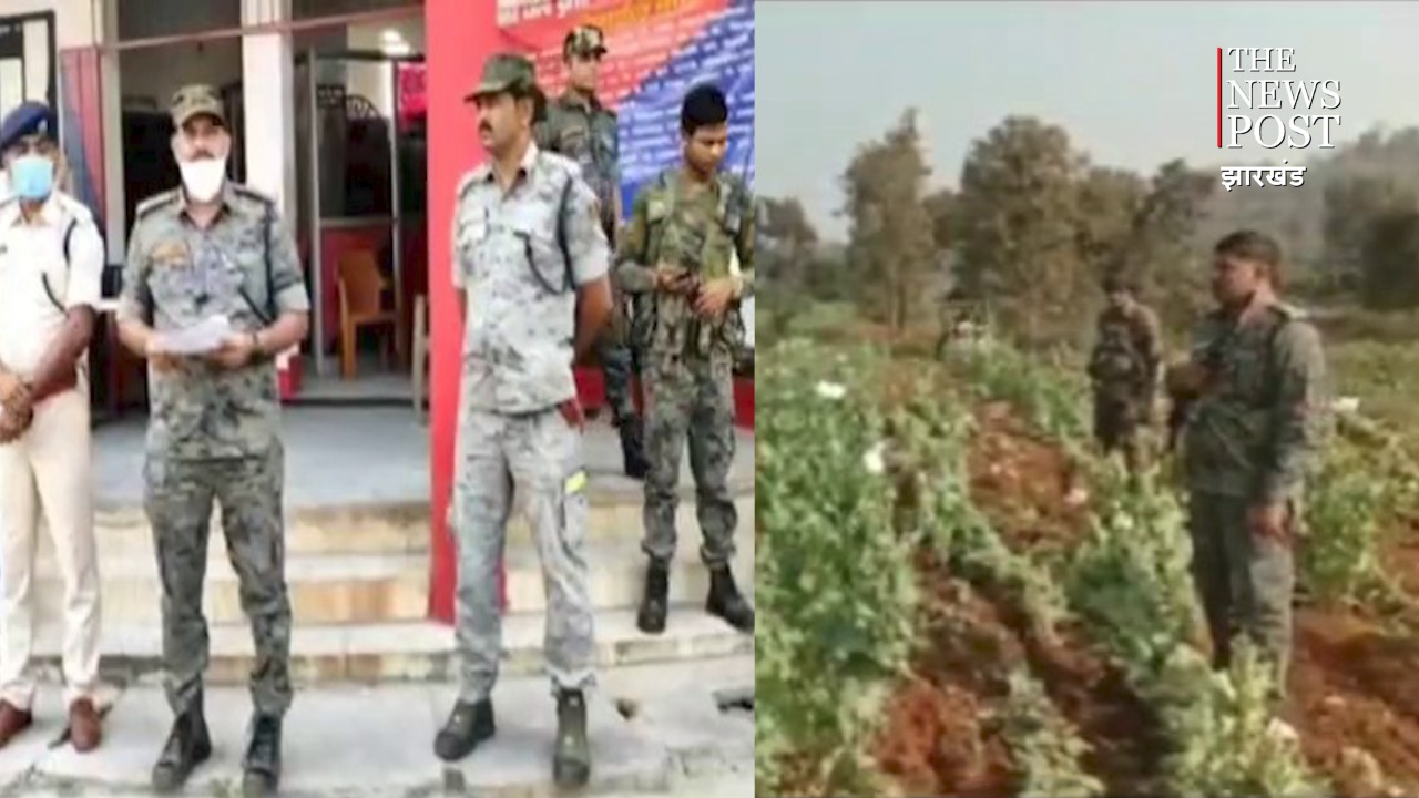 अफीम कारोबारियों की संपत्ति होगी जब्त, एनडीपीएस और सीसीए एक्ट  के तहत होगी कार्रवाई