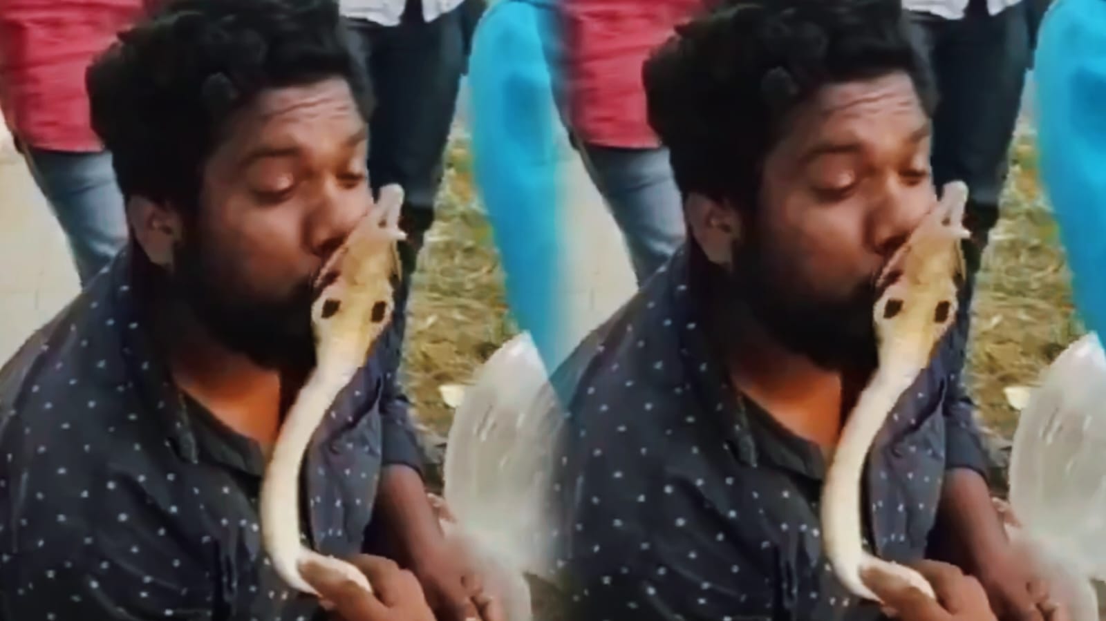 खेल-खेल में शख्स ने कोबरा की ले ली ‘पप्पी’ फिर सांप ने जो किया आप सोच भी नहीं सकते, देखिए वीडियो