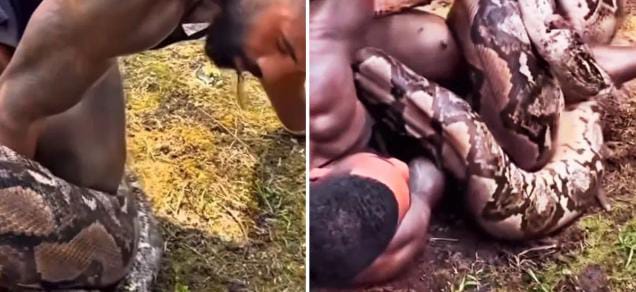 बाप रे! अजगर से मस्ती करना इस युवक को पड़ गया भारी, अजगर ने ऐसा जकड़ा कि फुलने लगी सांस, VIDEO देख कांप जाएगी रूह