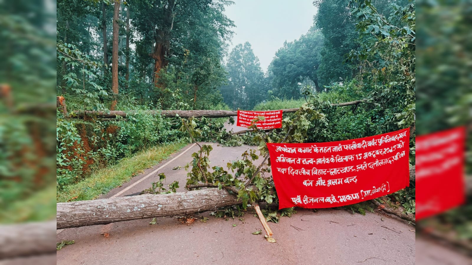 चाईबासा में नक्सलियों का तांडव! ऑपरेशन कगार के विरोध में पोस्टरबाजी, पेड़ काटकर सड़क किया जाम