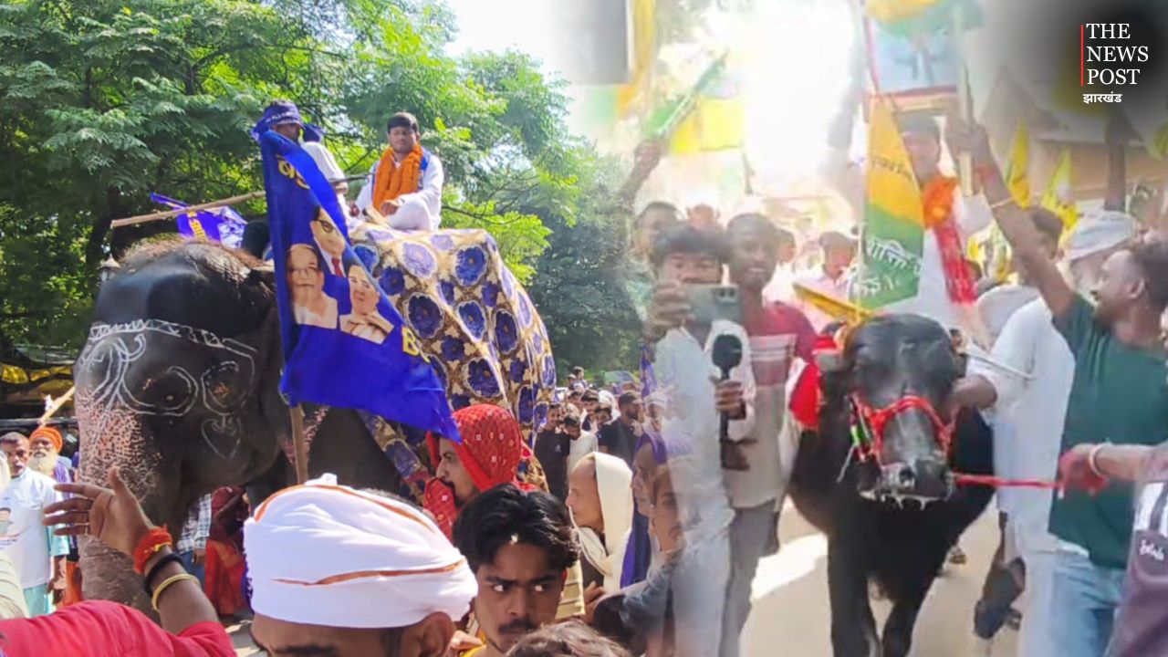 Bihar Election 2025: वाह भाई वाह! किसी ने हाथी तो किसी ने भैंस पर सवार होकर किया नामांकन,देखने के लिए उमड़े लोग 