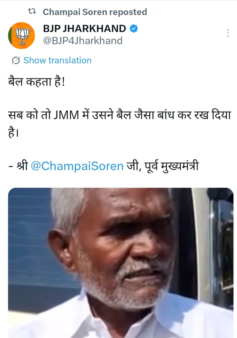 Jharkhand Politics: घाटशिला का "बैल" 14 के बाद क्यों घुमेगा पूरे झारखण्ड में, क्या बताएगा आदिवासियों को !