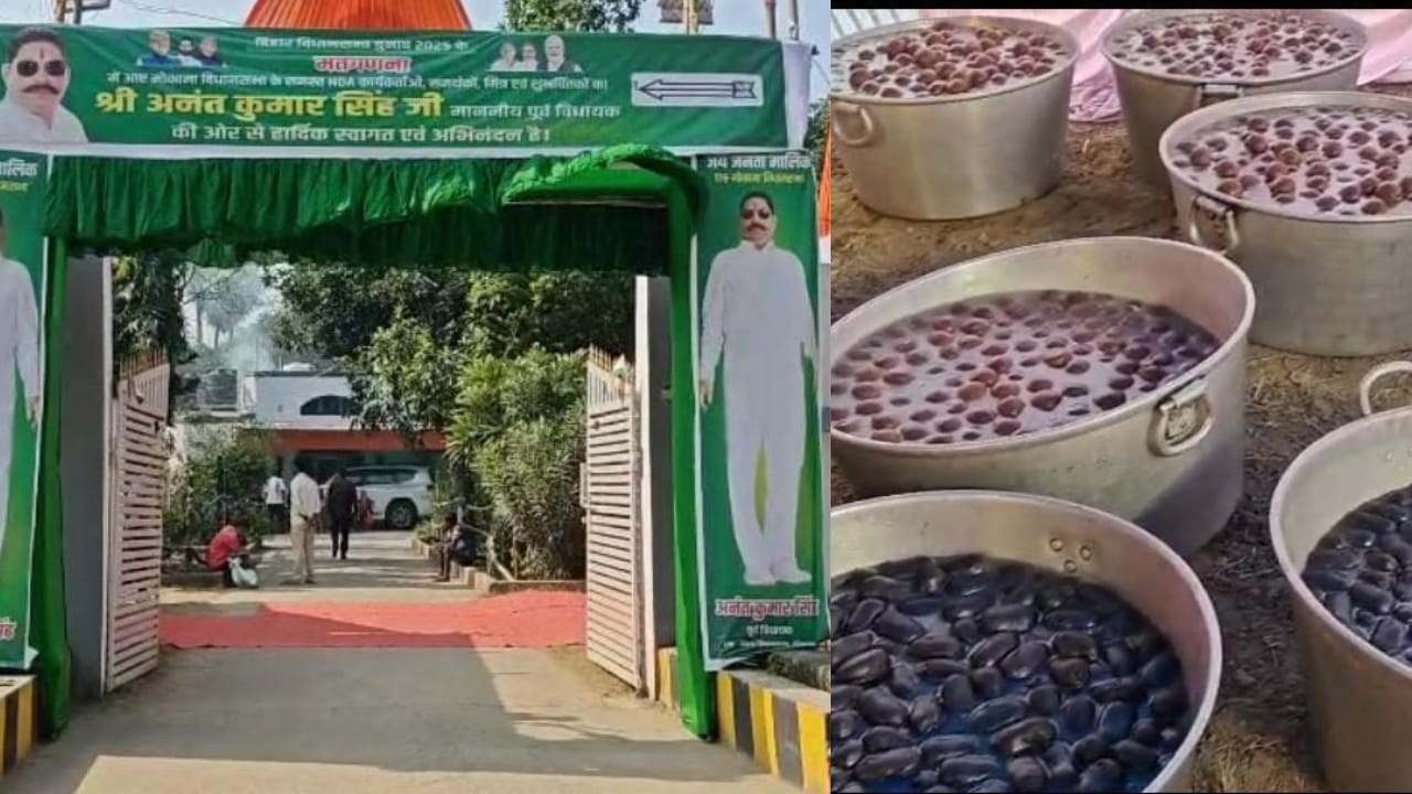 मोकामा के बाहुबली सीट पर जश्न की तैयारी शुरू, अनंत सिंह और सूरजभान सिंह के घरों में मिठाई, गुलाल और जश्न का इंतज़ाम