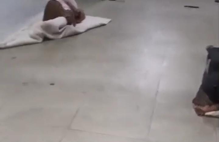 SNMMCH की सर्जिकल आईसीयू में घुसा सियार, पढ़े फिर क्या हुआ