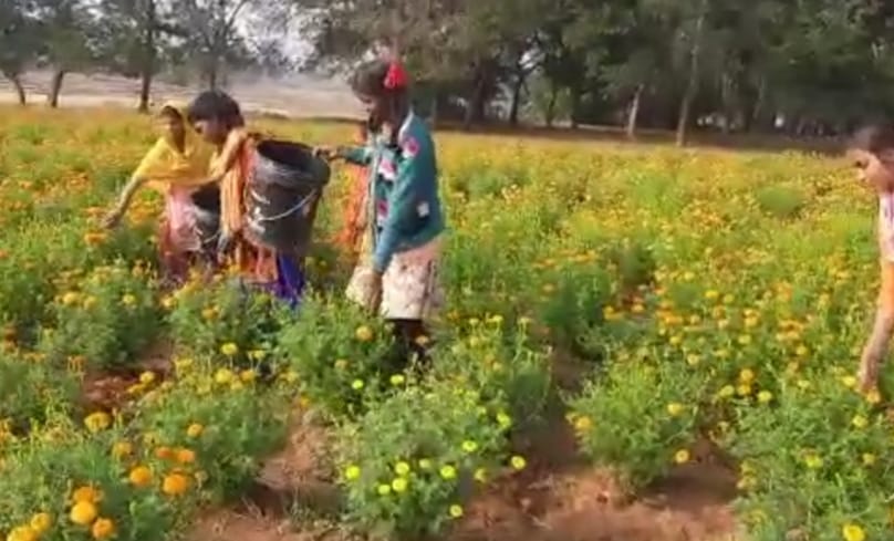 फूल रोक रहे पलायन करने वालों का हाथ, फसलों के साथ लहलहा रही खुशियां