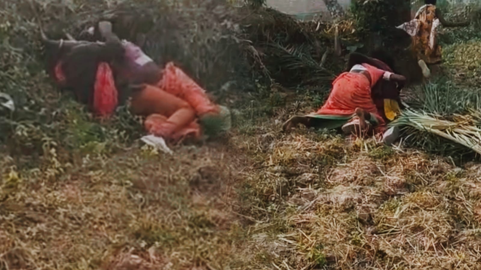 सरकारी स्कूल की मास्टरनी और आदिवासी महिला के बीच अचानक हो गई पटका पटकी, वायरल हुआ वीडियो