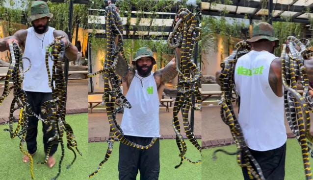 बाप रे! सांप को खिलौना समझ खेलने लगा ये शख्स,खौफनाक VIDEO देख लोगों के पैरों तले खिसक गई जमीन