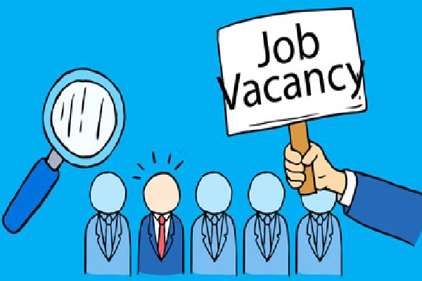 NCERT Recruitment 2025:  ग्रेजुएट्स पास के लिए सरकारी नौकरी का मौका NCERT ने 173 पदों पर निकाली भर्ती